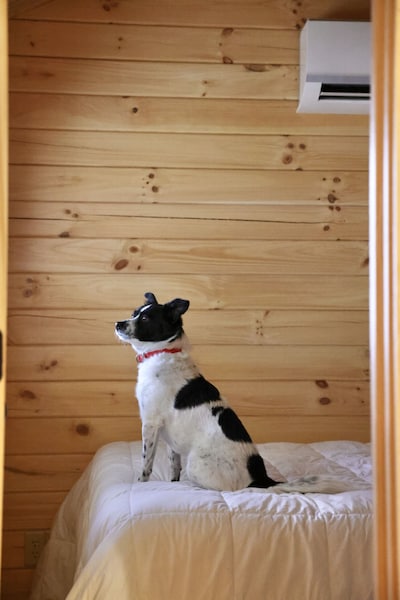 Cindy Bear Cottage-2